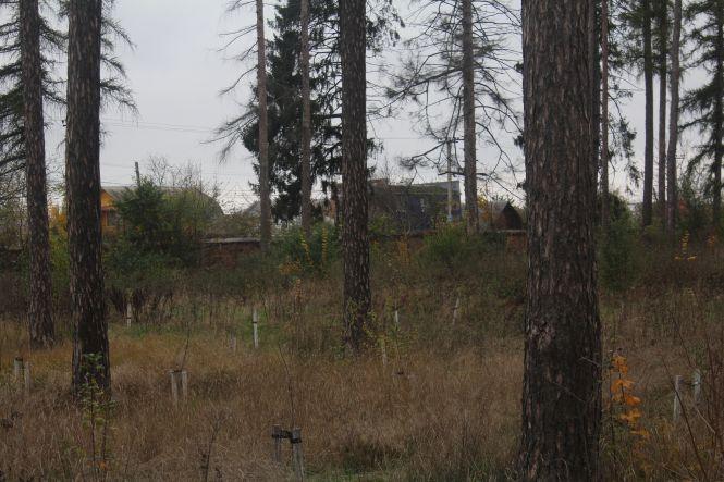Почему в Виннице погибает Пятничанский парк с усадьбой Грохольских (Видео) 4 369f8fa0b4987d3b85a2d1d93f501164ce9d0a52