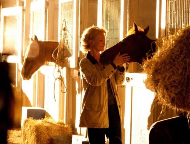 Новини Вінниці - фото з Вечір у колі родини. Десять кращих мотивуючих фільмів на реальних подіях