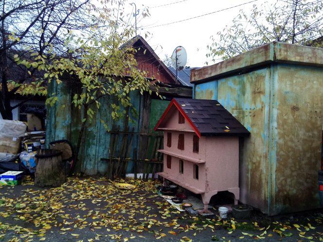 Новини Козятина - фото з На свій День народження зробила подарунок для тварин На свій День народження зробила подарунок для тварин, фото №2 на сайті 20minut.ua