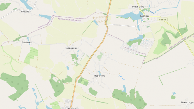 Чому біля Скаржинців часто стаються ДТП: думки поліції та експерта, фото №1 на сайті vsim.ua