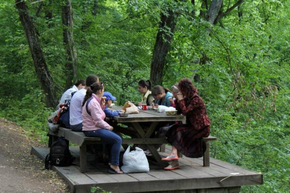 Новини Вінниці - фото з Таємниче село Буша: місце зеленого туризму Таємниче село Буша: місце зеленого туризму, фото №7 на сайті 20minut.ua