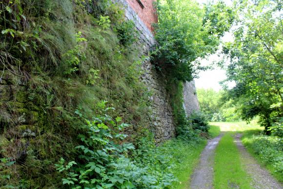 Новини Вінниці - фото з В Мурованих Курилівцях: палац, який цариця подарувала Комарам В Мурованих Курилівцях: палац, який цариця подарувала Комарам, фото №17 на сайті 20minut.ua