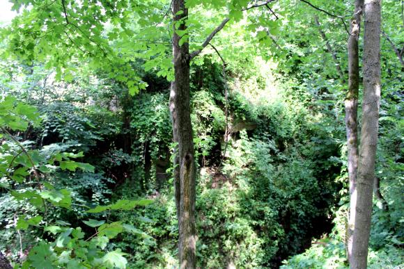 Новини Вінниці - фото з В Мурованих Курилівцях: палац, який цариця подарувала Комарам В Мурованих Курилівцях: палац, який цариця подарувала Комарам, фото №9 на сайті 20minut.ua