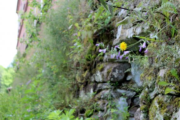 Новини Вінниці - фото з В Мурованих Курилівцях: палац, який цариця подарувала Комарам В Мурованих Курилівцях: палац, який цариця подарувала Комарам, фото №15 на сайті 20minut.ua