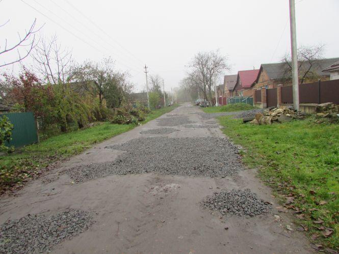 Прогулянка Козятинщиною: лебеді, бездоріжжя і рожевий унітаз, фото №6 на сайті 20minut.ua