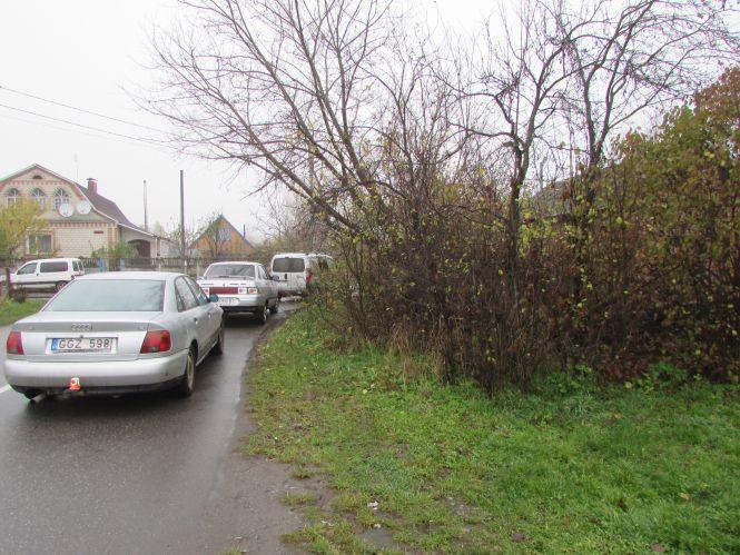 Прогулянка Козятинщиною: лебеді, бездоріжжя і рожевий унітаз, фото №2 на сайті 20minut.ua