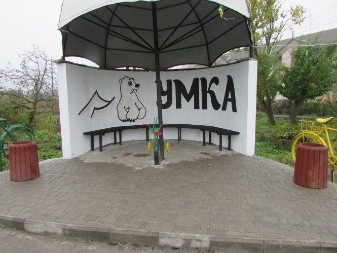 Прогулянка Козятинщиною: лебеді, бездоріжжя і рожевий унітаз, фото №10 на сайті 20minut.ua