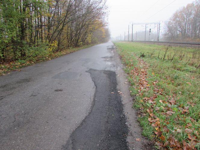 Прогулянка Козятинщиною: лебеді, бездоріжжя і рожевий унітаз, фото №7 на сайті 20minut.ua