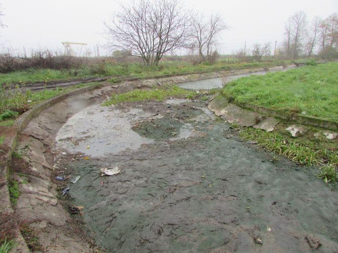 Тетяна Єрмолаєва: «Наше місто наближається до катастрофи», фото №4 на сайті 20minut.ua