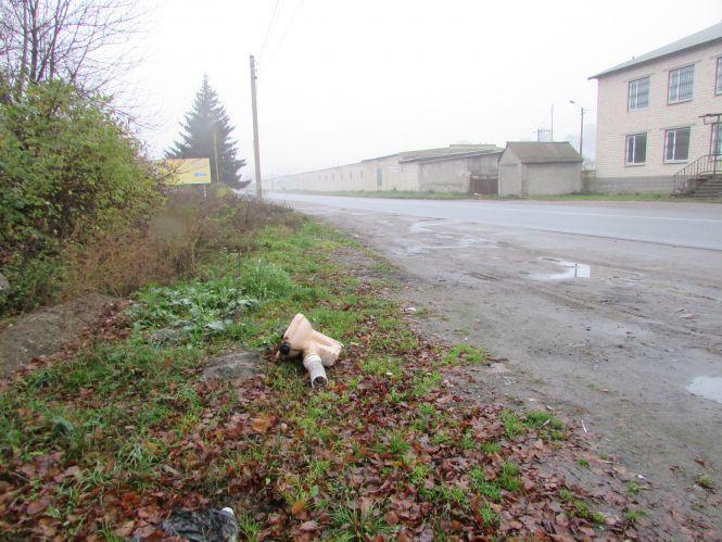 Прогулянка Козятинщиною: лебеді, бездоріжжя і рожевий унітаз, фото №5 на сайті 20minut.ua