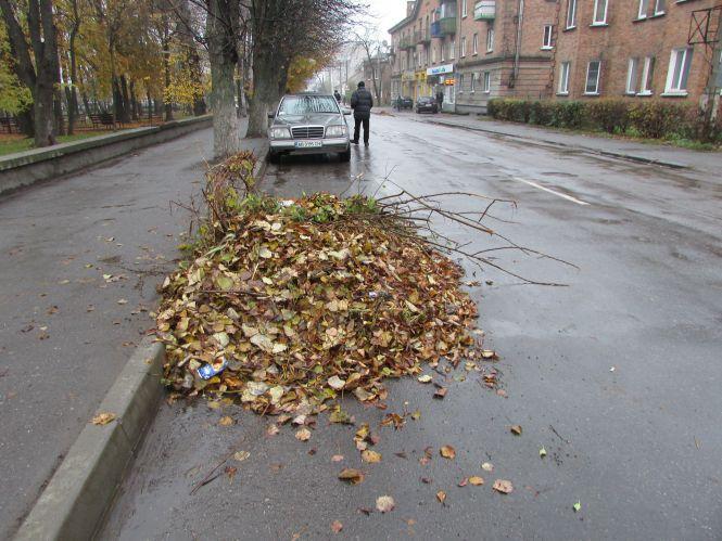 Прогулянка Козятинщиною: лебеді, бездоріжжя і рожевий унітаз, фото №9 на сайті 20minut.ua