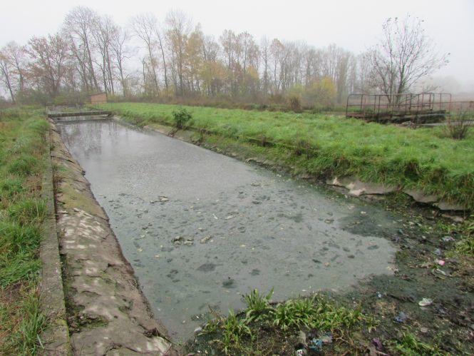 Тетяна Єрмолаєва: «Наше місто наближається до катастрофи», фото №3 на сайті 20minut.ua