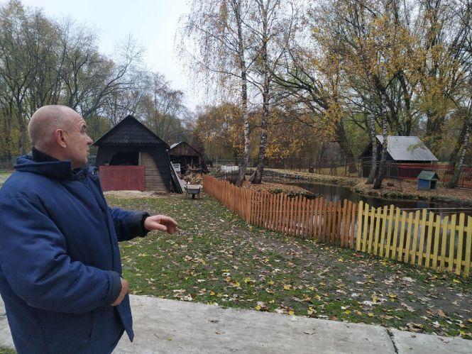 Новини Тернополя - фото з Лань, буйволи, олені, кози та інші: як живуть тварини в зоокутку «Топільче». Репортаж "20 хвилин"