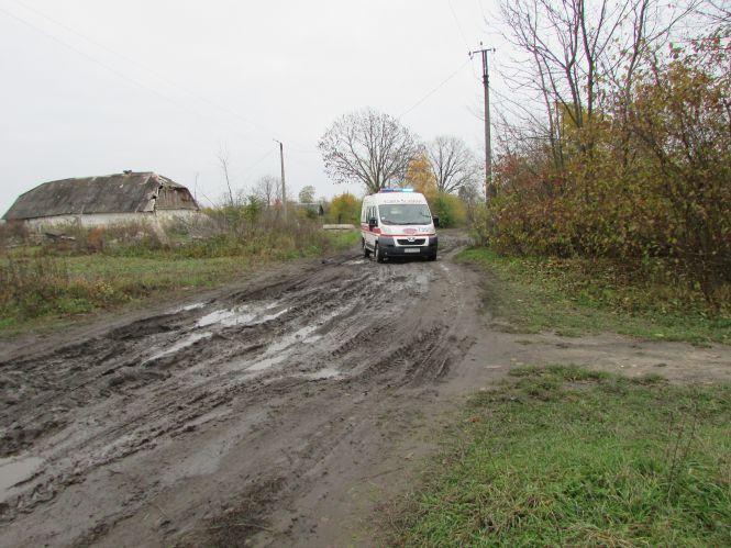 Прогулянка Козятинщиною: лебеді, бездоріжжя і рожевий унітаз, фото №1 на сайті 20minut.ua