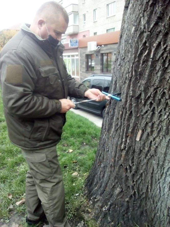 Важливе за вихідні: ТОП новин для козятинчан, фото №1 на сайті 20minut.ua