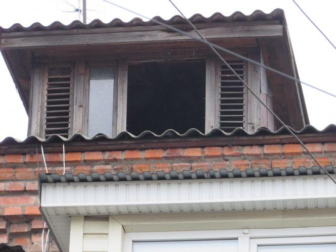 «Хотів залишити голубів подихати голодною смертю на горищі», фото №2 на сайті 20minut.ua