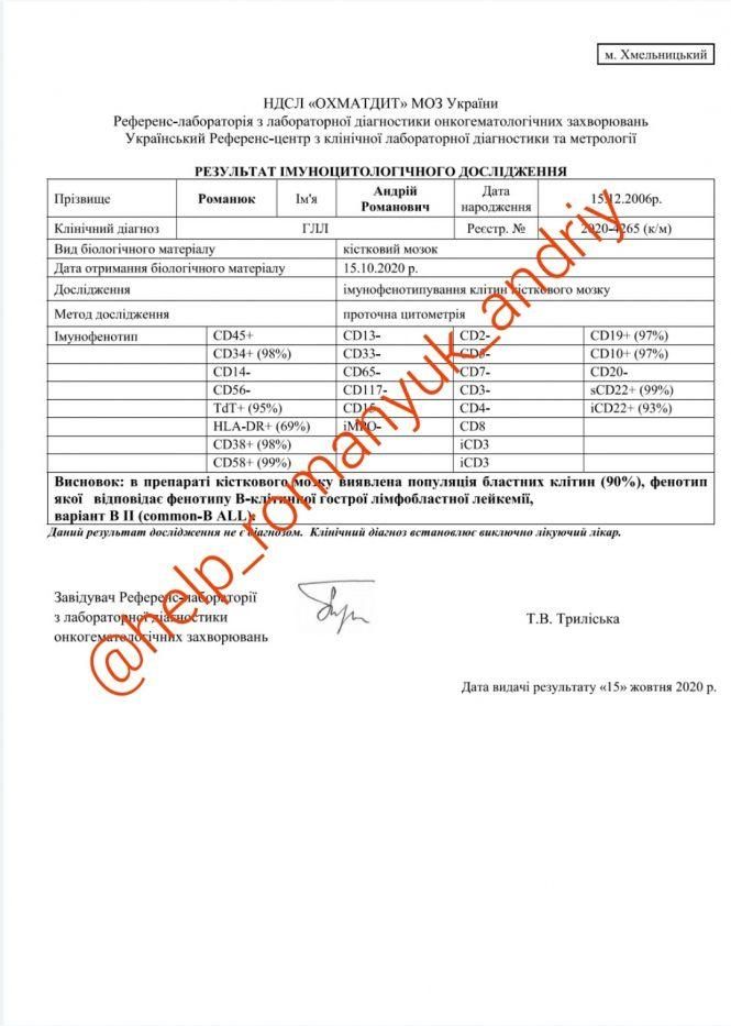 У 13-річного Андрія з Кам’янця рак крові. На лікування необхідна кругла сума, фото №7 на сайті vsim.ua