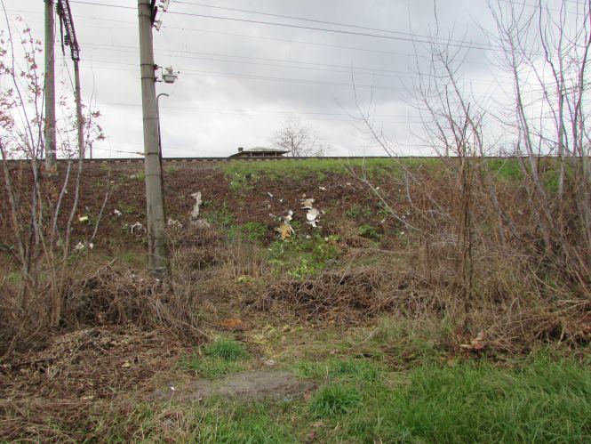 Новини Козятина - фото з Прогулянка Козятинщиною: «Стоячий поліцейський» на ПРБ, альтанка з об’явами та шкодні бобри Прогулянка Козятинщиною: «Стоячий поліцейський» на ПРБ, альтанка з об’явами та шкодні бобри, фото №8 на сайті 20minut.ua