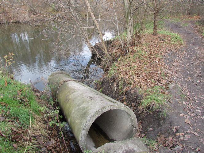 Новини Козятина - фото з Прогулянка Козятинщиною: «Стоячий поліцейський» на ПРБ, альтанка з об’явами та шкодні бобри Прогулянка Козятинщиною: «Стоячий поліцейський» на ПРБ, альтанка з об’явами та шкодні бобри, фото №3 на сайті 20minut.ua