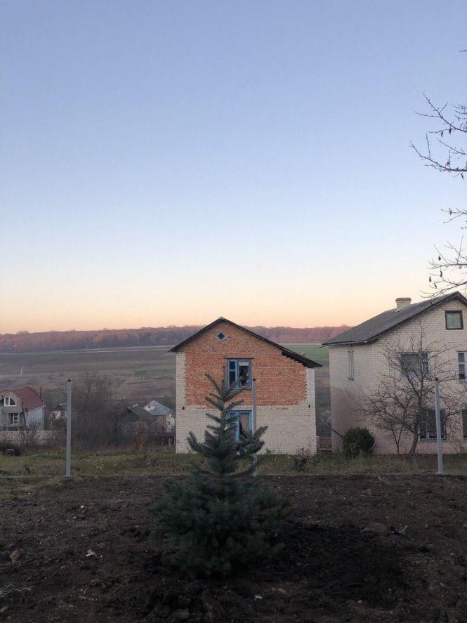 Новини Тернополя - фото з Тернополяни розповіли, скільки коштує виростити ялинку вдома. А де її можна легально придбати до свят? Тернополяни розповіли, скільки коштує виростити ялинку вдома. А де її можна легально придбати до свят?, фото №2 на сайті 20minut.ua