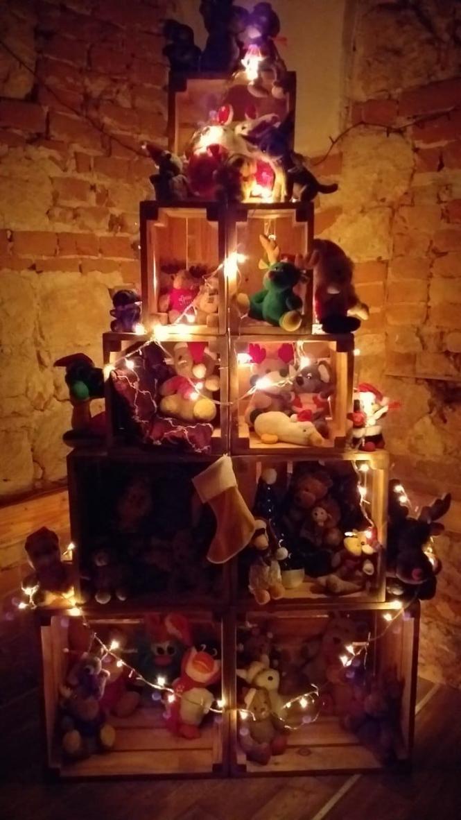 Новини Тернополя - фото з Працюють до ночі - як студент із Тернопільщини хоче до Нового року прикрасити гірляндами усе місто