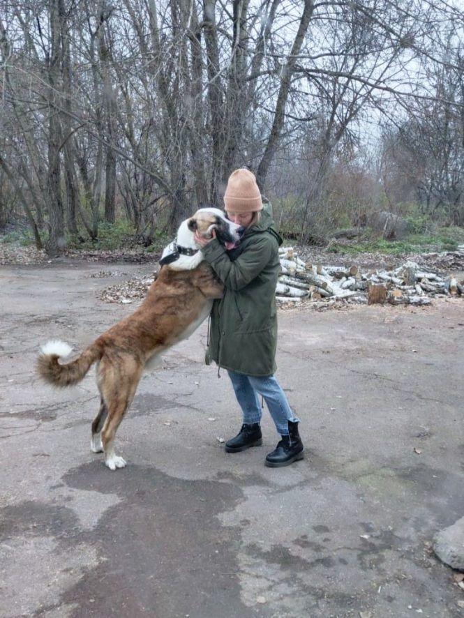 Новини Житомира - фото з Візьміть в добрі руки пухнастого друга: оголошення в Житомирі станом на 1 грудня Візьміть в добрі руки пухнастого друга: оголошення в Житомирі станом на 1 грудня, фото №4 на сайті 20minut.ua