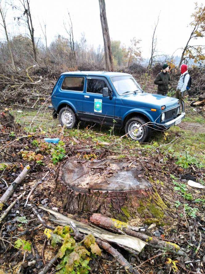 Новини Вінниці - фото з Вздовж доріг області невідомі вирізали дерев на майже 12 мільйонів гривень Вздовж доріг області невідомі вирізали дерев на майже 12 мільйонів гривень, фото №1 на сайті 20minut.ua