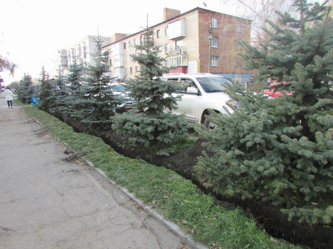 Прогулянка Козятинщиною: ранішній ринок і «сушка» моста, фото №10 на сайті 20minut.ua