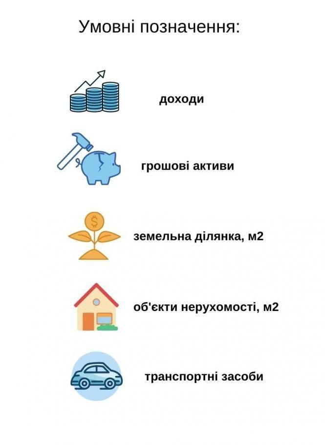 Мільйони і нерухомість за кордоном: що задекларував новий голова Хмельницької ОДА (ІНФОГРАФІКА), фото №3 на сайті vsim.ua