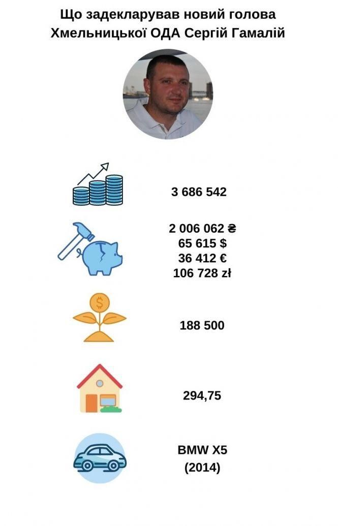 Мільйони і нерухомість за кордоном: що задекларував новий голова Хмельницької ОДА (ІНФОГРАФІКА), фото №2 на сайті vsim.ua