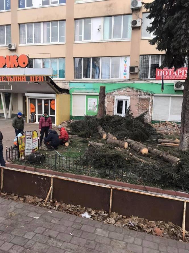 Новини Хмельницького - фото з Біля ТЦ «Ріко» спиляли ялинку рідкісного виду: що про це відомо Біля ТЦ «Ріко» спиляли ялинку рідкісного виду: що про це відомо, фото №2 на сайті vsim.ua