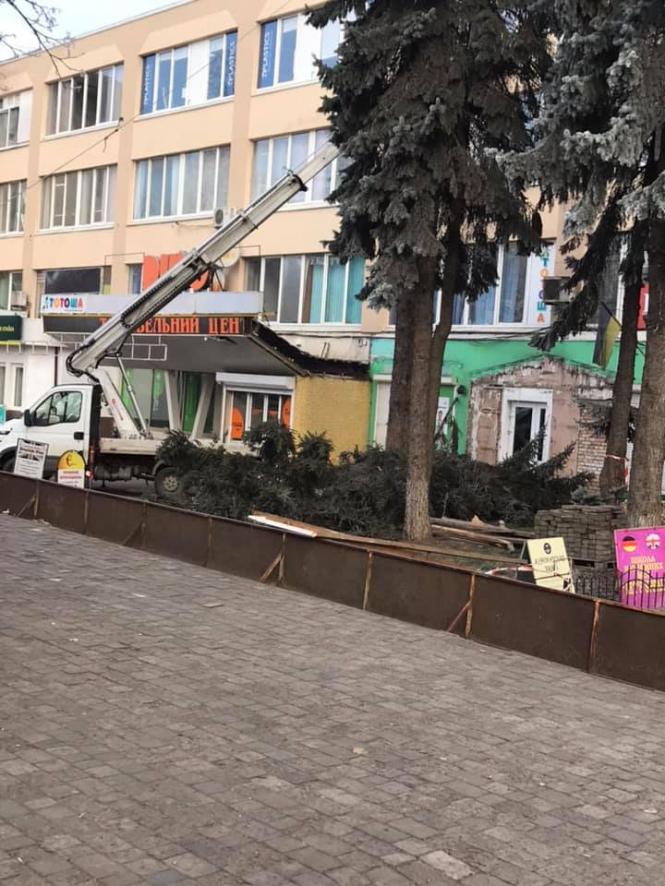 Новини Хмельницького - фото з Біля ТЦ «Ріко» спиляли ялинку рідкісного виду: що про це відомо Біля ТЦ «Ріко» спиляли ялинку рідкісного виду: що про це відомо, фото №1 на сайті vsim.ua