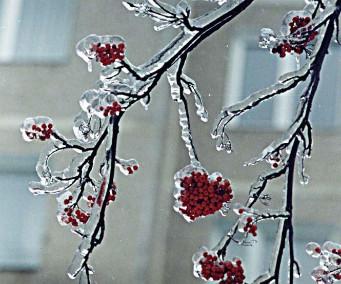 Новини Вінниці - фото з Все перетворилося на кригу. Пригадуємо, як 22 роки тому ми потерпали від стихійного лиха Все перетворилося на кригу. Пригадуємо, як 22 роки тому ми потерпали від стихійного лиха, фото №1 на сайті 20minut.ua