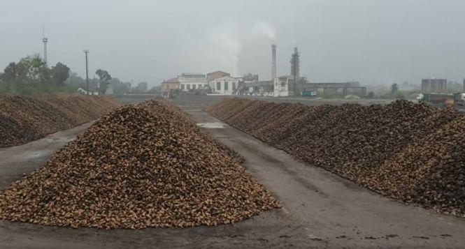 Прокуратура зацікавилася тими, хто «поклав око» на цукрозавод в Іллінцях, фото №1 на сайті 20minut.ua