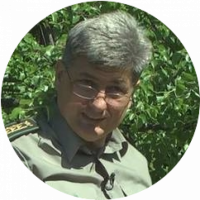 Рятувати ліси не дозволяють активісти або Навіщо спеціалісти зрізають живі дерева, фото №1 на сайті 20minut.ua