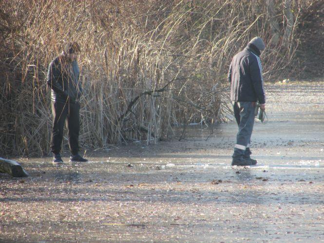 Лебеді покинули замерзлу водойму «Сільського» ставу, фото №1 на сайті 20minut.ua
