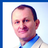 Чому ялинок може не стати? Дві версії всихання хвойних у різних місцях Вінниці, фото №3 на сайті 20minut.ua