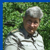 Чому ялинок може не стати? Дві версії всихання хвойних у різних місцях Вінниці, фото №4 на сайті 20minut.ua