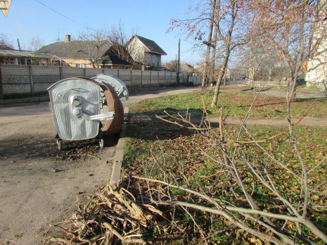 Прогулянка Козятинщиною: штучні сосонки, баки без кришок та «зірка» Тузік, фото №2 на сайті 20minut.ua