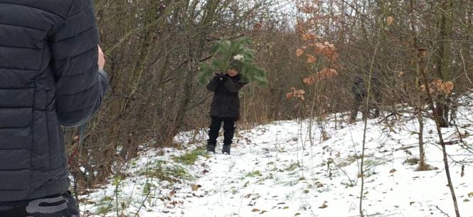 Немає опису.