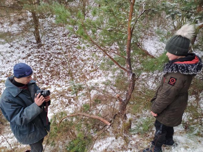 Немає опису.