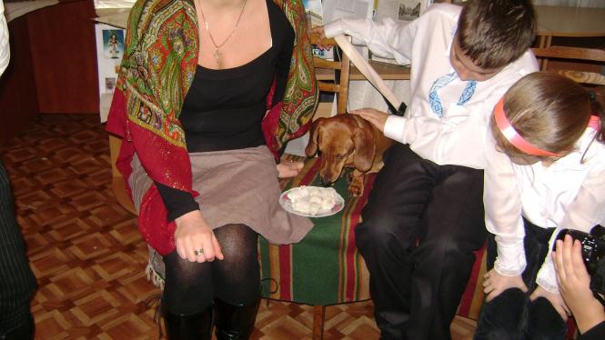 Б І Б Л І О С В І Т Л И Ц Я: Ой на Андрія, на вечорниці...