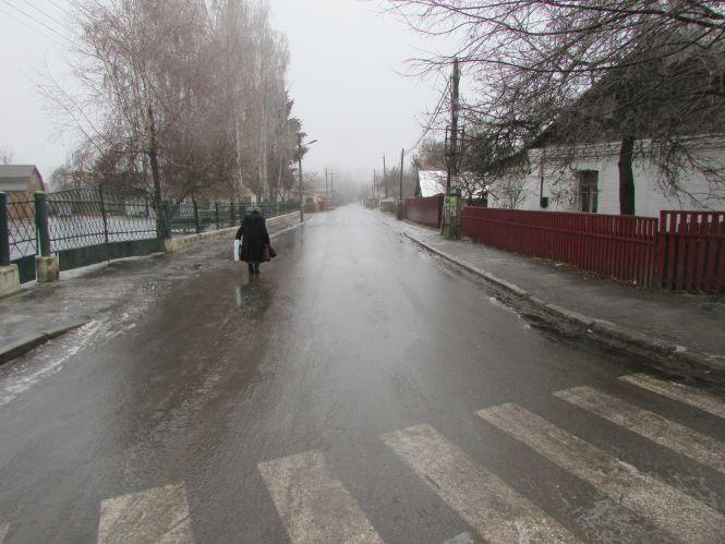 Жителі сіл через децентралізацію стали жертвами ожеледиці, фото №5 на сайті 20minut.ua