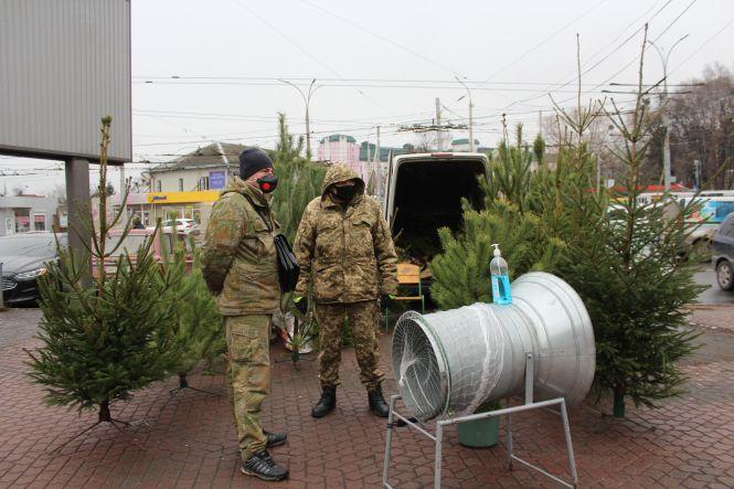Новини Вінниці - фото з Свято наближається: де і за скільки можна купити живу ялинку або сосну у Вінниці Свято наближається: де і за скільки можна купити живу ялинку або сосну у Вінниці, фото №3 на сайті 20minut.ua