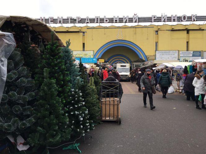 Новини Вінниці - фото з Свято наближається: де і за скільки можна купити живу ялинку або сосну у Вінниці Свято наближається: де і за скільки можна купити живу ялинку або сосну у Вінниці, фото №4 на сайті 20minut.ua