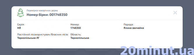 Скільки коштує «жива» ялинка в Тернополі та як вибрати легальну, фото №2 на сайті 20minut.ua