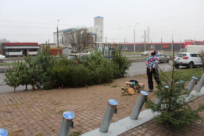 Новини Вінниці - фото з Свято наближається: де і за скільки можна купити живу ялинку або сосну у Вінниці Свято наближається: де і за скільки можна купити живу ялинку або сосну у Вінниці, фото №7 на сайті 20minut.ua