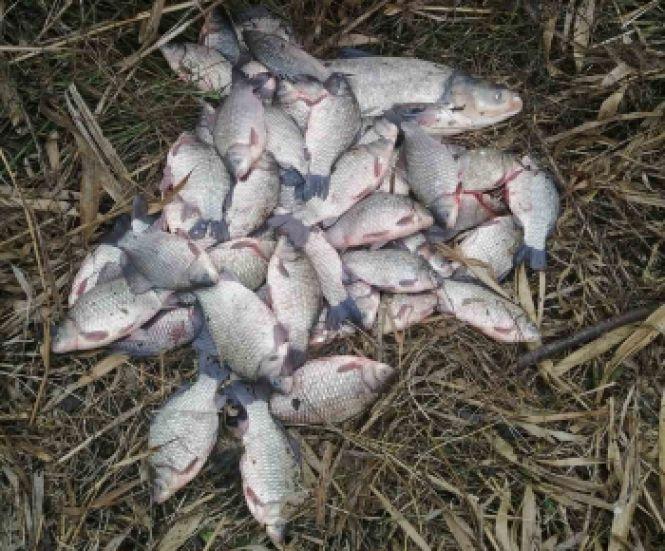 Новини Хмельницького - фото з З Південного Бугу в Хмельницькому дістали 100-метрову браконьєрську сітку З Південного Бугу в Хмельницькому дістали 100-метрову браконьєрську сітку, фото №1 на сайті vsim.ua