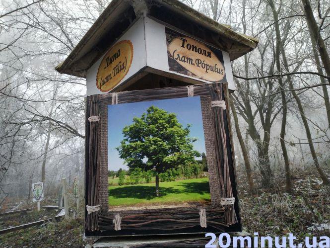Парк "Кременецькі гори" та катакомби: що приховує знамените підземелля, якому понад 500 років?, фото №5 на сайті 20minut.ua
