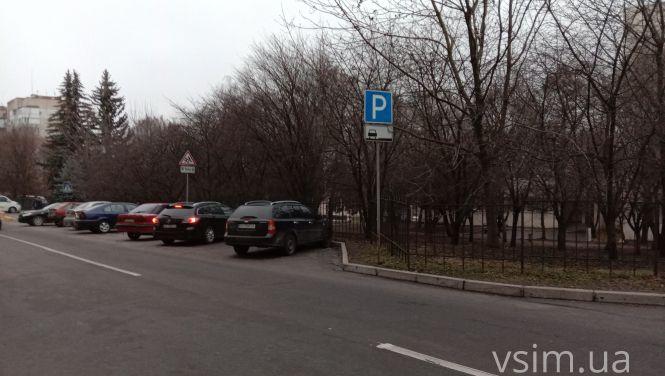 Біля перинатального центру встановили напівсфери: ви за чи проти?, фото №5 на сайті vsim.ua